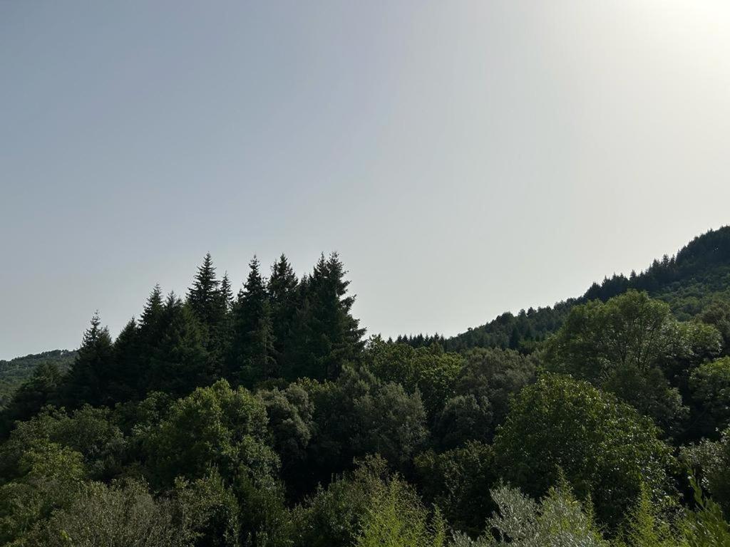 Mas Le Canton سان جان دو جارد المظهر الخارجي الصورة